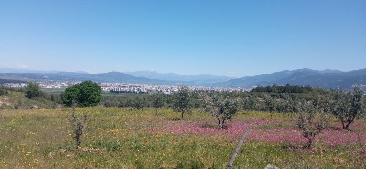 Osmaniye Tarihi Alan